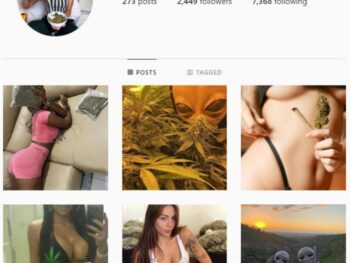 2K Weed Cannabis Instagram Account for sale