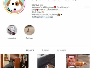 70K Puppy Dogs Instagram Account for sale