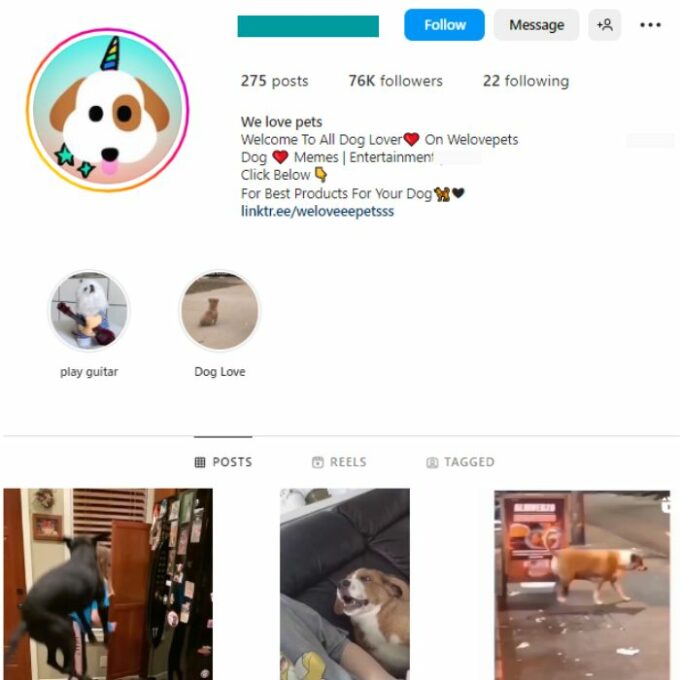 70K Puppy Dogs Instagram Account for sale