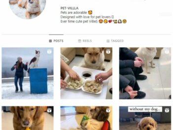 2K Pets Dog Instagram Account for sale