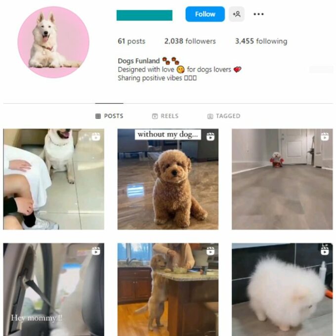 2K Pets Dog Instagram Account for sale