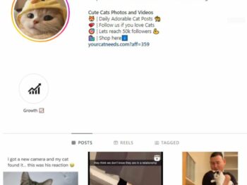 70K Kittens Cats Instagram Account for sale