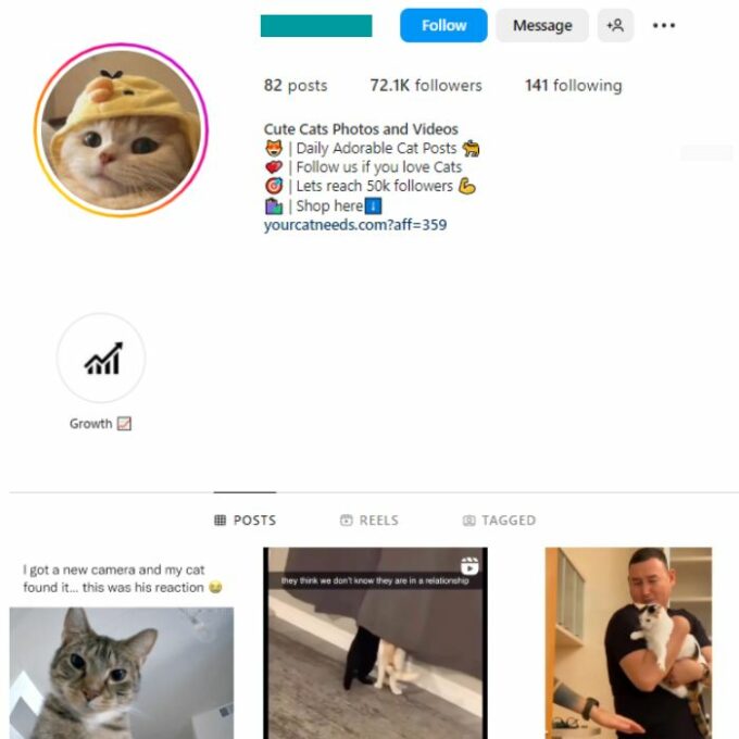 70K Kittens Cats Instagram Account for sale