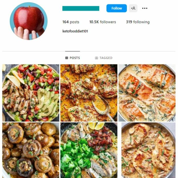 10K Healthy Food Instagram Account for sale