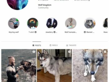 135k Wolfdogs Pets Instagram Account for sale