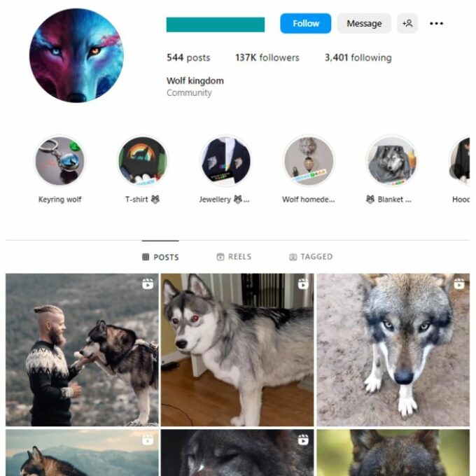 135k Wolfdogs Pets Instagram Account for sale