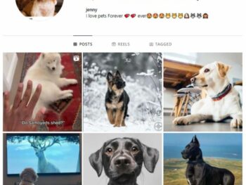 1K Pets Dog Instagram Account for sale