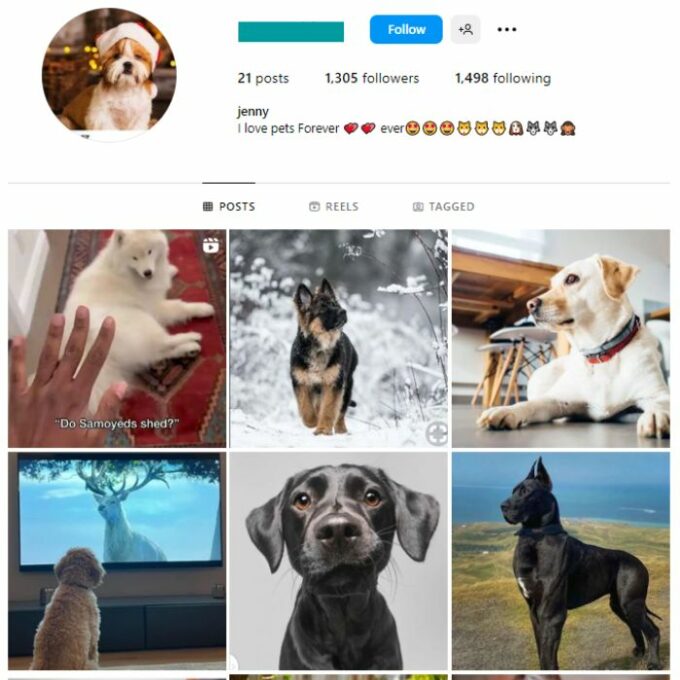 1K Pets Dog Instagram Account for sale