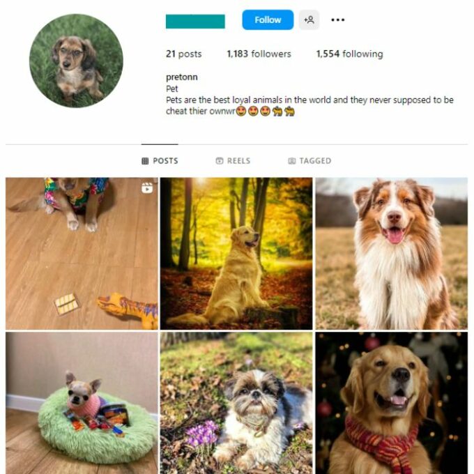1K Pets Dog Instagram Account for sale
