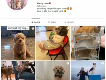 2K Cats Dog Instagram Account for sale