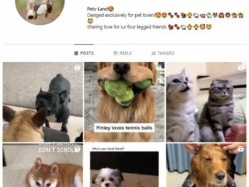 3K Pets Dog Instagram Account for sale