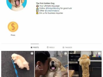 60k Dog Pets Instagram Account for sale