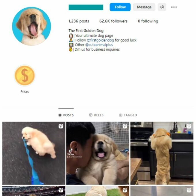 60k Dog Pets Instagram Account for sale