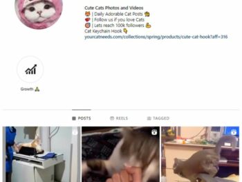 90K Kittens Cats Instagram Account for sale