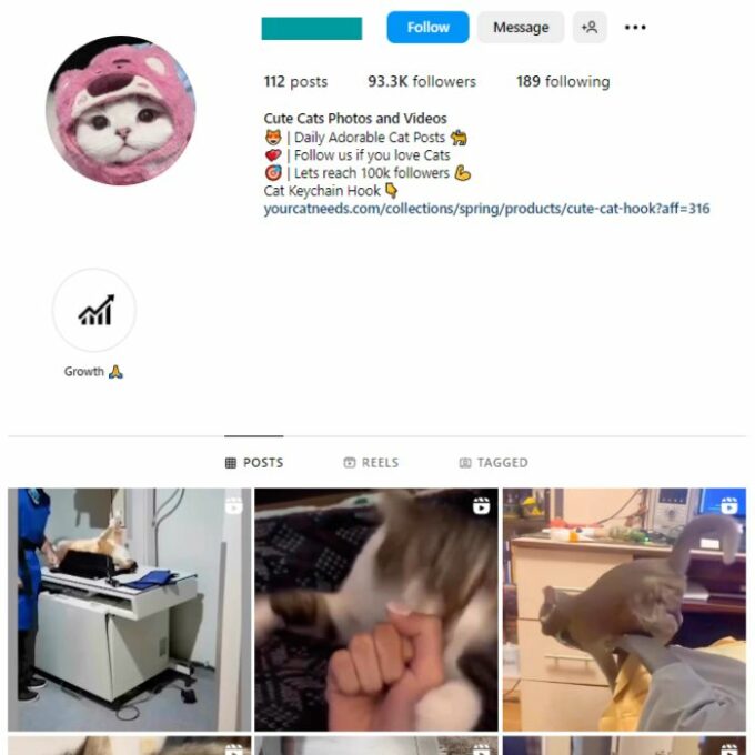 90K Kittens Cats Instagram Account for sale