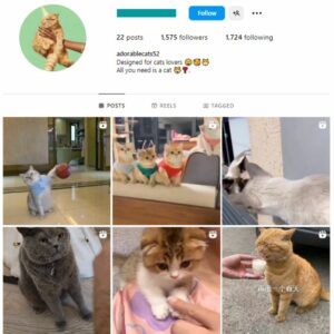 1K Cats Pets Instagram Account for sale