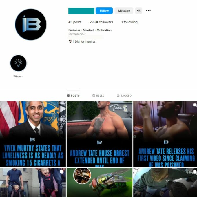 29K Business Finance Instagram Account for Sale