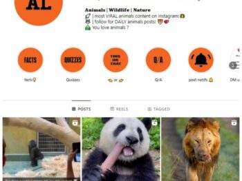 310K Animal Wildlife Instagram Account for sale