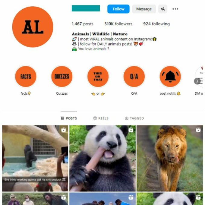 310K Animal Wildlife Instagram Account for sale