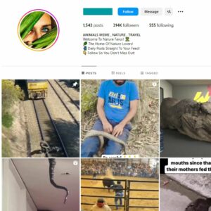 310K Animals Nature Travel Instagram Account for Sale