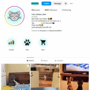 400K Kittens Cats Instagram Account for sale