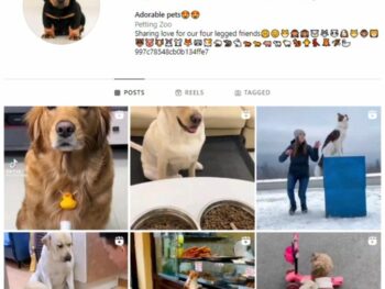 6K Pets Dogs Instagram Account for sale