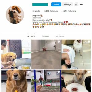 6K Pets Dogs Instagram Account for sale