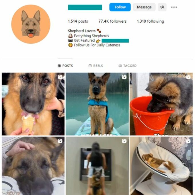 75k Dog Pets Instagram Account for sale