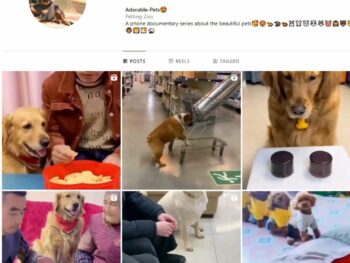 Buy Adorable Pets Instagram Account with 2K Followers