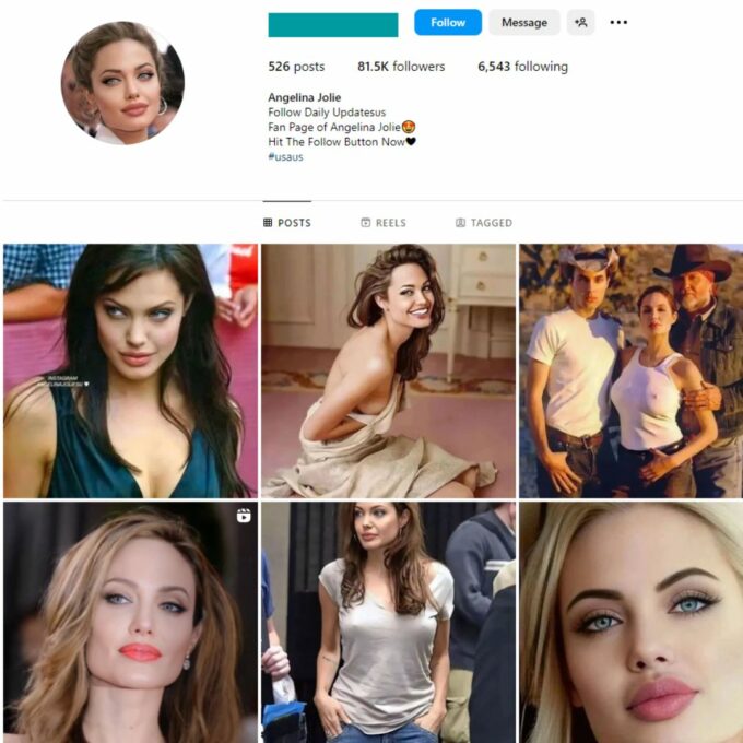 Buy Angelina Jolie Instagram Account with 80K Followers