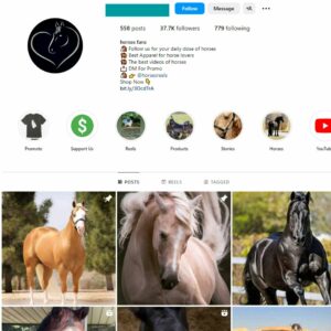 Buy Animals / Horses Instagram Account with 35K Followers