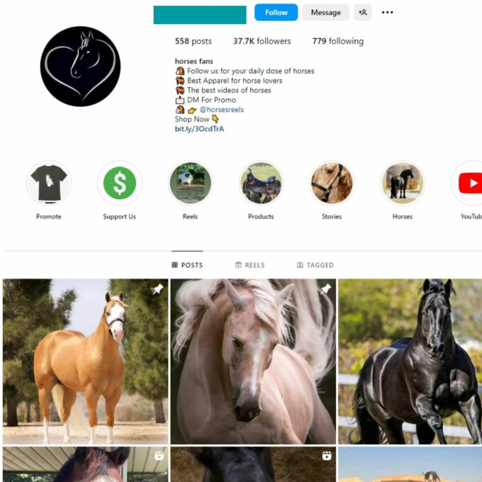 Buy Animals / Horses Instagram Account with 35K Followers