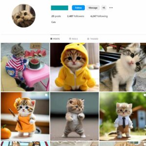 Buying Cats Pets Instagram Account with 3K Followers