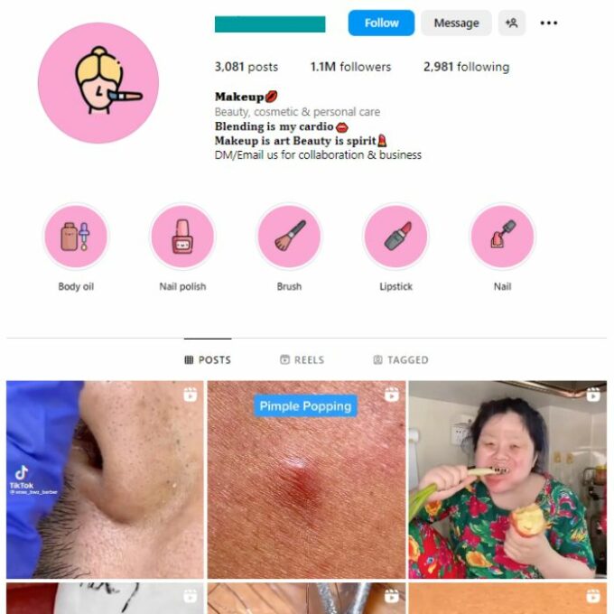 1.1M Beauty Makeup Instagram Account for sale