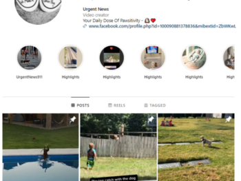 100K Pets Dogs Instagram Account for sale