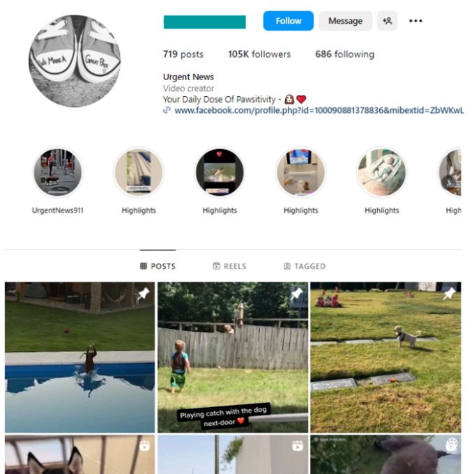 100K Pets Dogs Instagram Account for sale