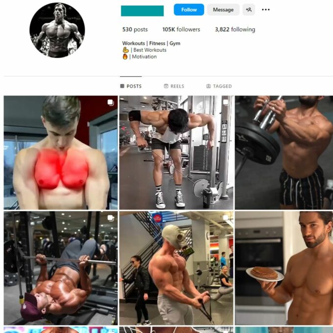105K Workout Fitness Gym Instagram Account for Sale