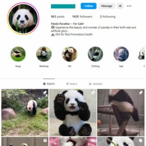 140K Animals Panda Instagram Account for sale