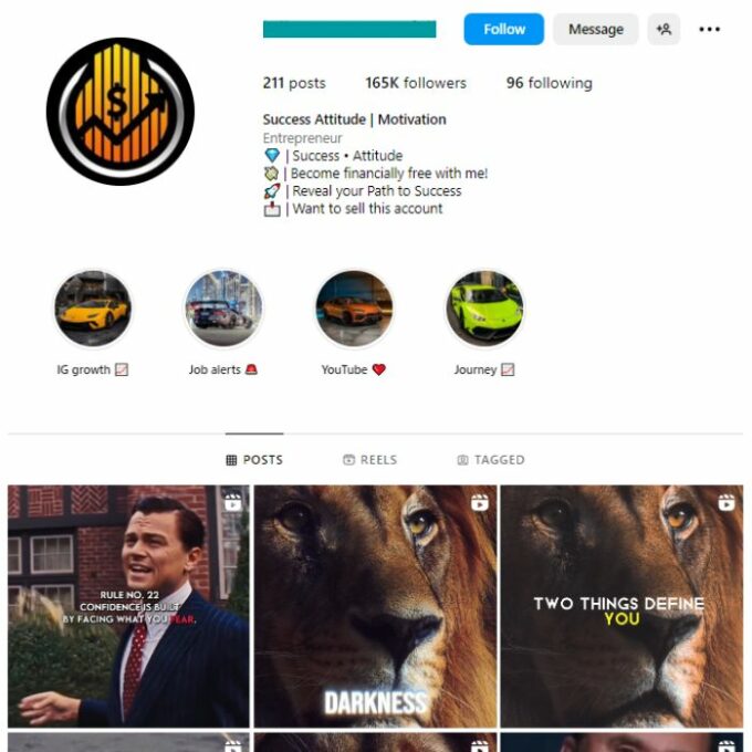 165K Money Motivation Instagram Account for sale