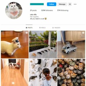 1K Cute Cats Instagram Account for sale