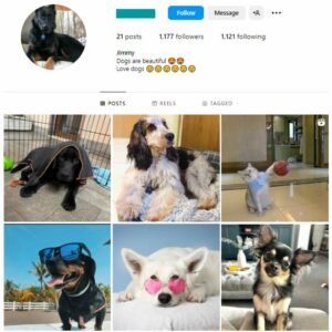 1K Puppies Dogs Instagram Account for sale