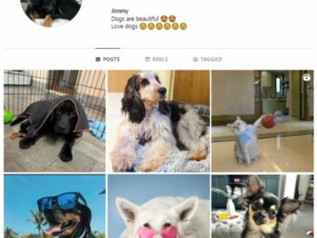 1K Puppies Dogs Instagram Account for sale