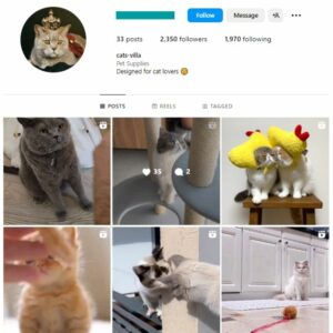 2K Cats Pets Instagram Account for sale