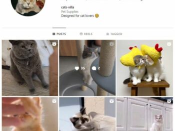 2K Cats Pets Instagram Account for sale