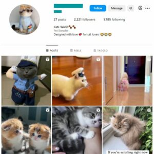 2K Cute Cats Instagram Account for sale