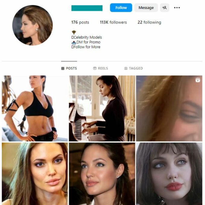 110K Angelina Jolie Fan Instagram Account for sale