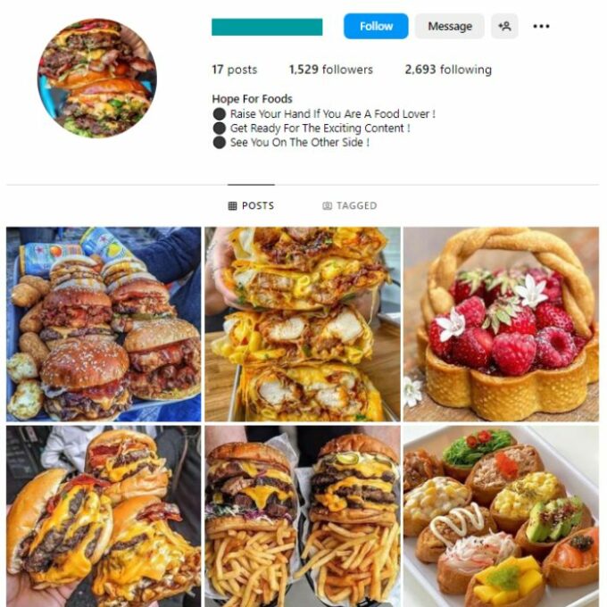 1K American Food Instagram Account for sale