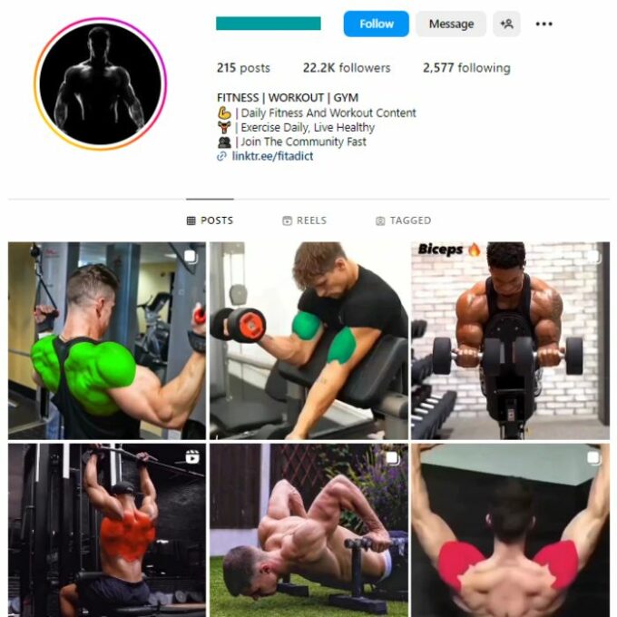 20K Male Fitness Gym Instagram Account for sale