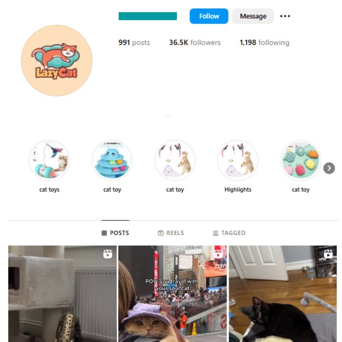 36K Kittens Cats Instagram Account for sale