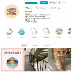 38K Kittens Cats Instagram Account for sale